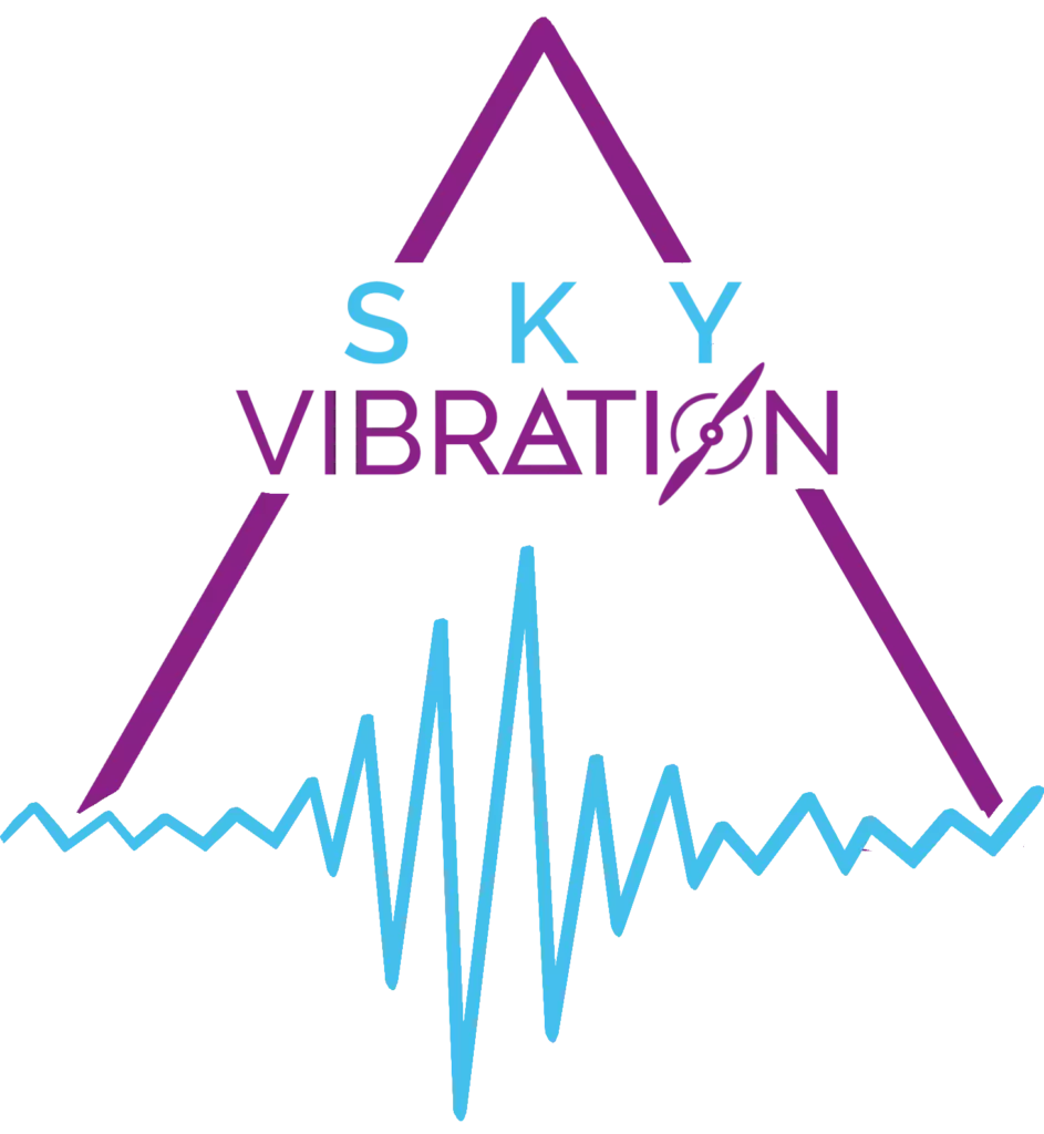 Logo Skyvibration